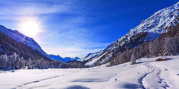 北方飄雪處處白雪皚皚點綴世界，就像歐格曼涂料用色彩豐富世界